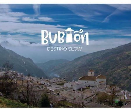 Bubion. Alpujarra Granadina Apartment Екстериор снимка